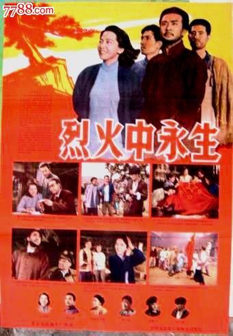 购买仿真境外汇款申请书